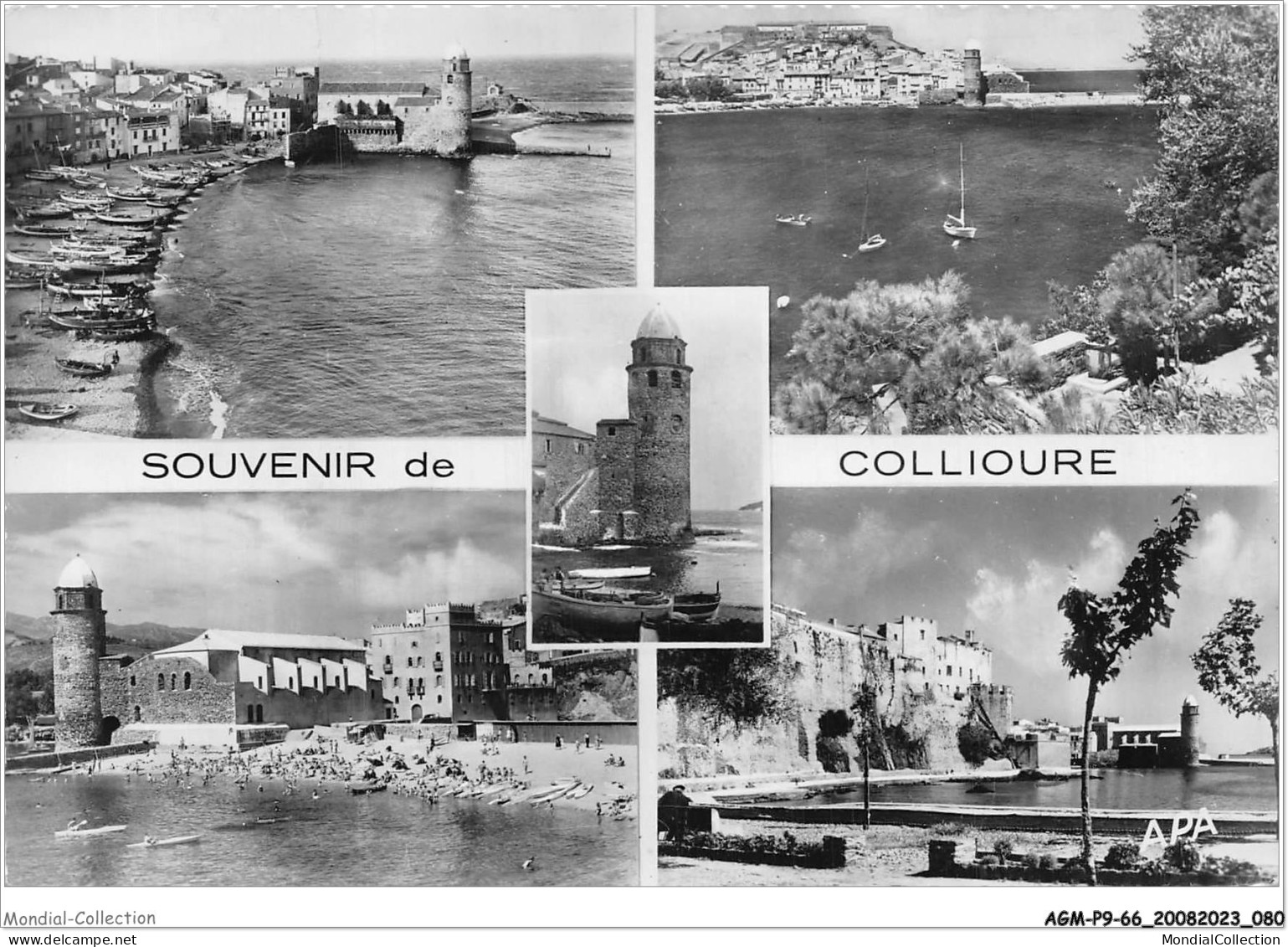 AGMP9-0656-66 - COLLIOURE - Souvenir  - Collioure