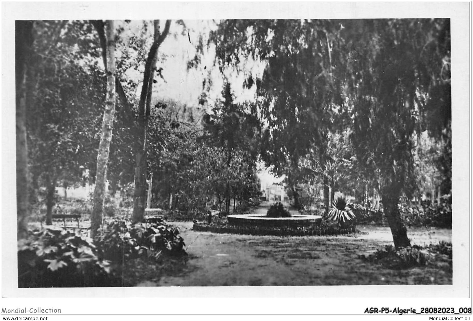 AGRP5-0334-ALGERIE - MARINA - Rond-point Du Jardin Public - Altri & Non Classificati