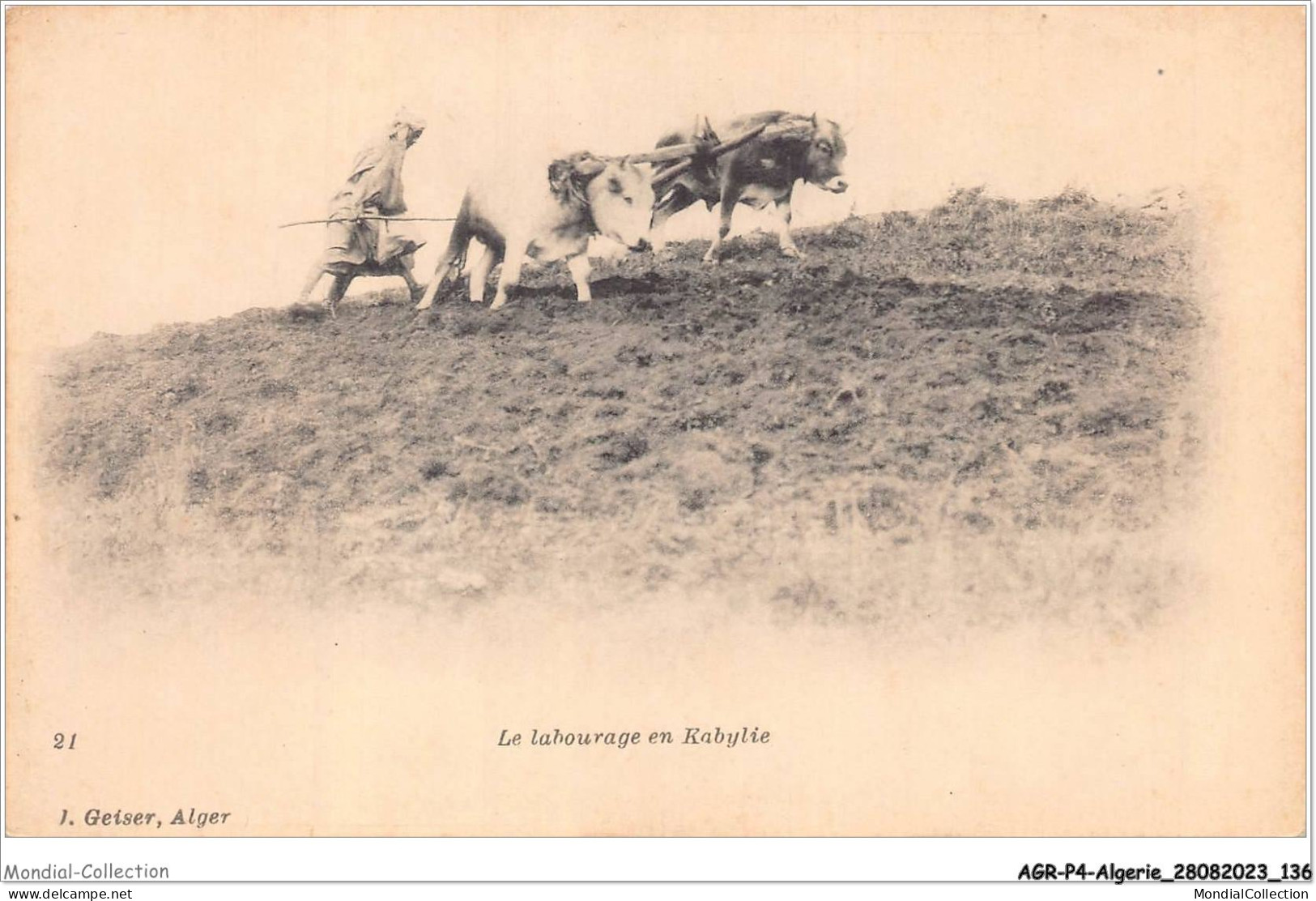 AGRP4-0314-ALGERIE - Le Labourage En Kabylie - Scenes