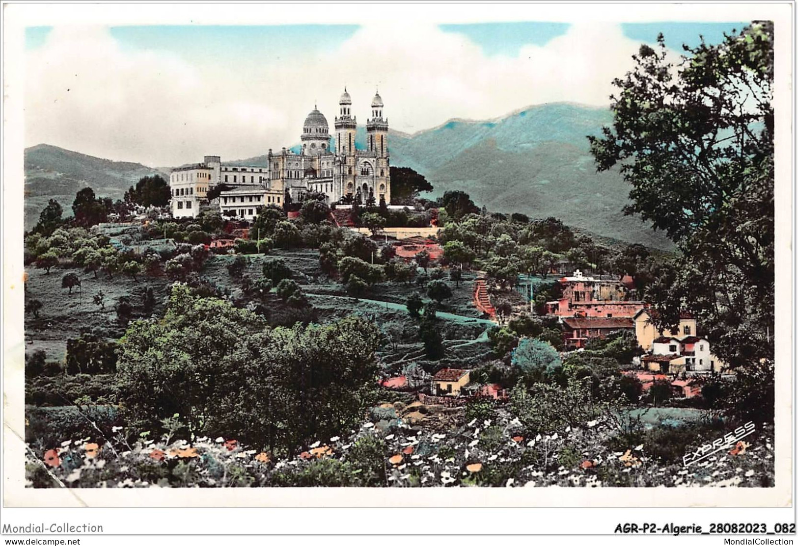 AGRP2-0116-ALGERIE - HIPPONE - Basilique Saint-augustin - Annaba (Bône)