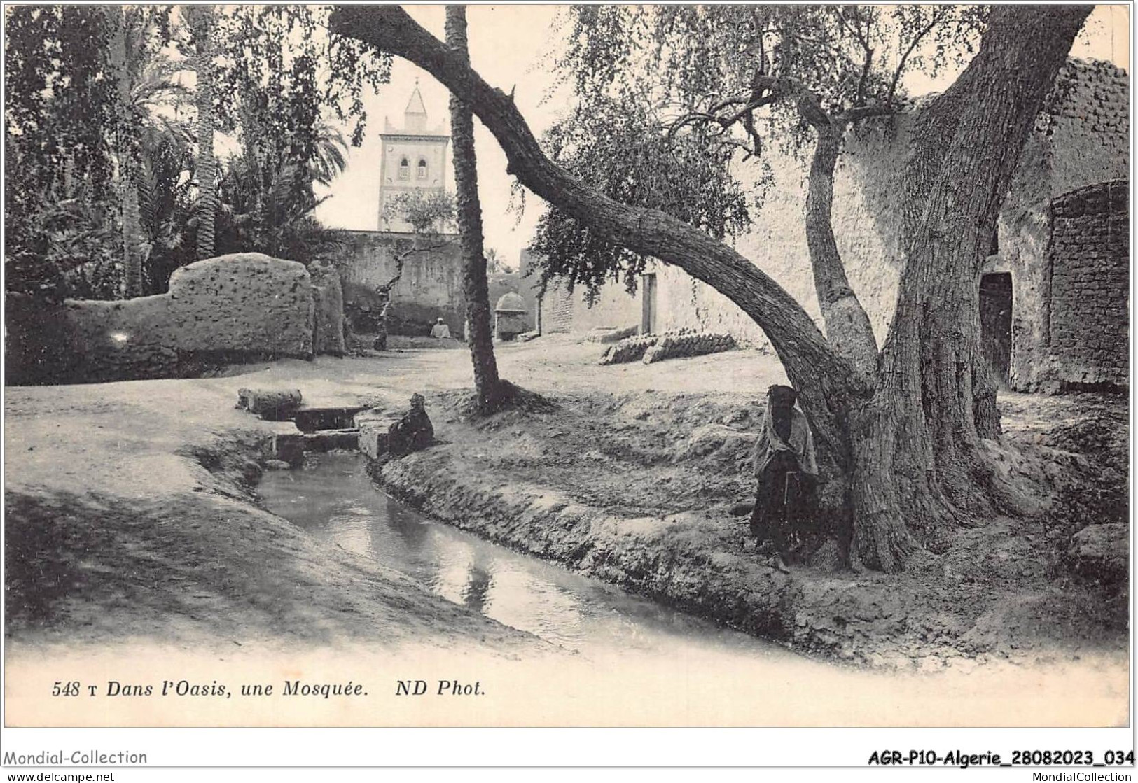 AGRP10-0720-ALGERIE - Dans L'oasis Une Mosquée  - Scènes & Types