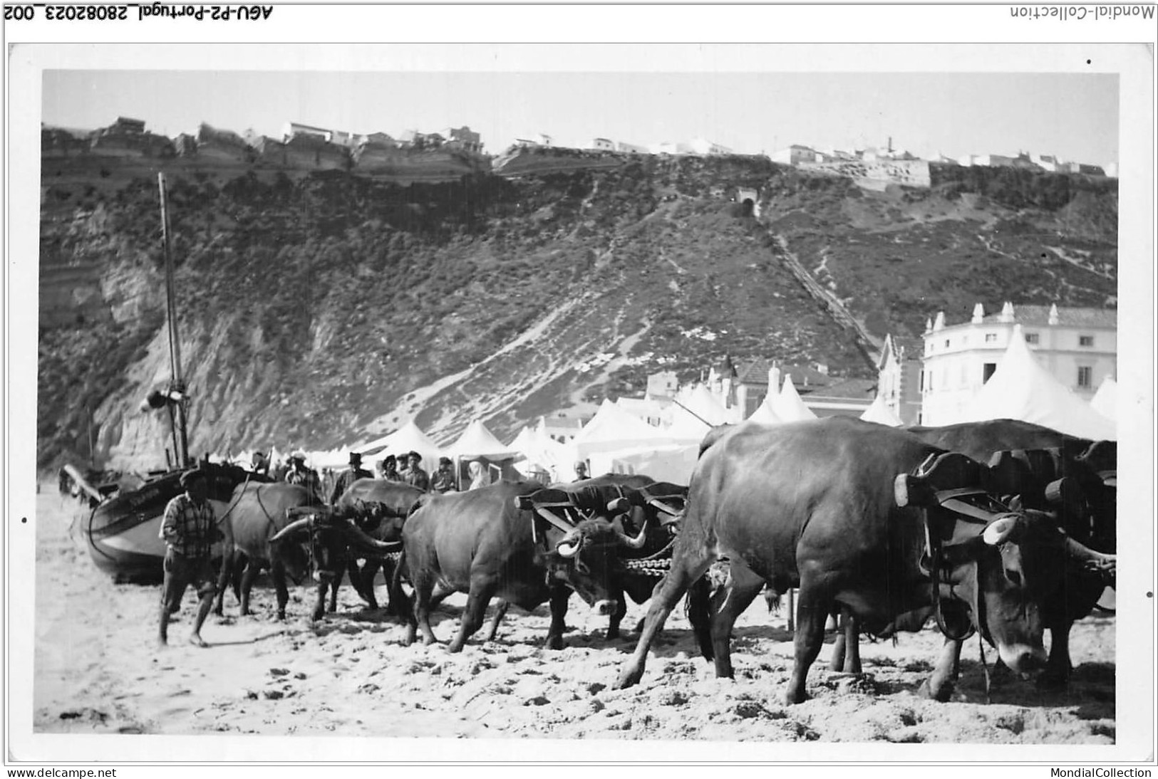 AGUP2-0078-PORTUGAL - NAZARE ATTELAG DE BOEUFS SUR LA PLAGE ET PECHEURS - Leiria