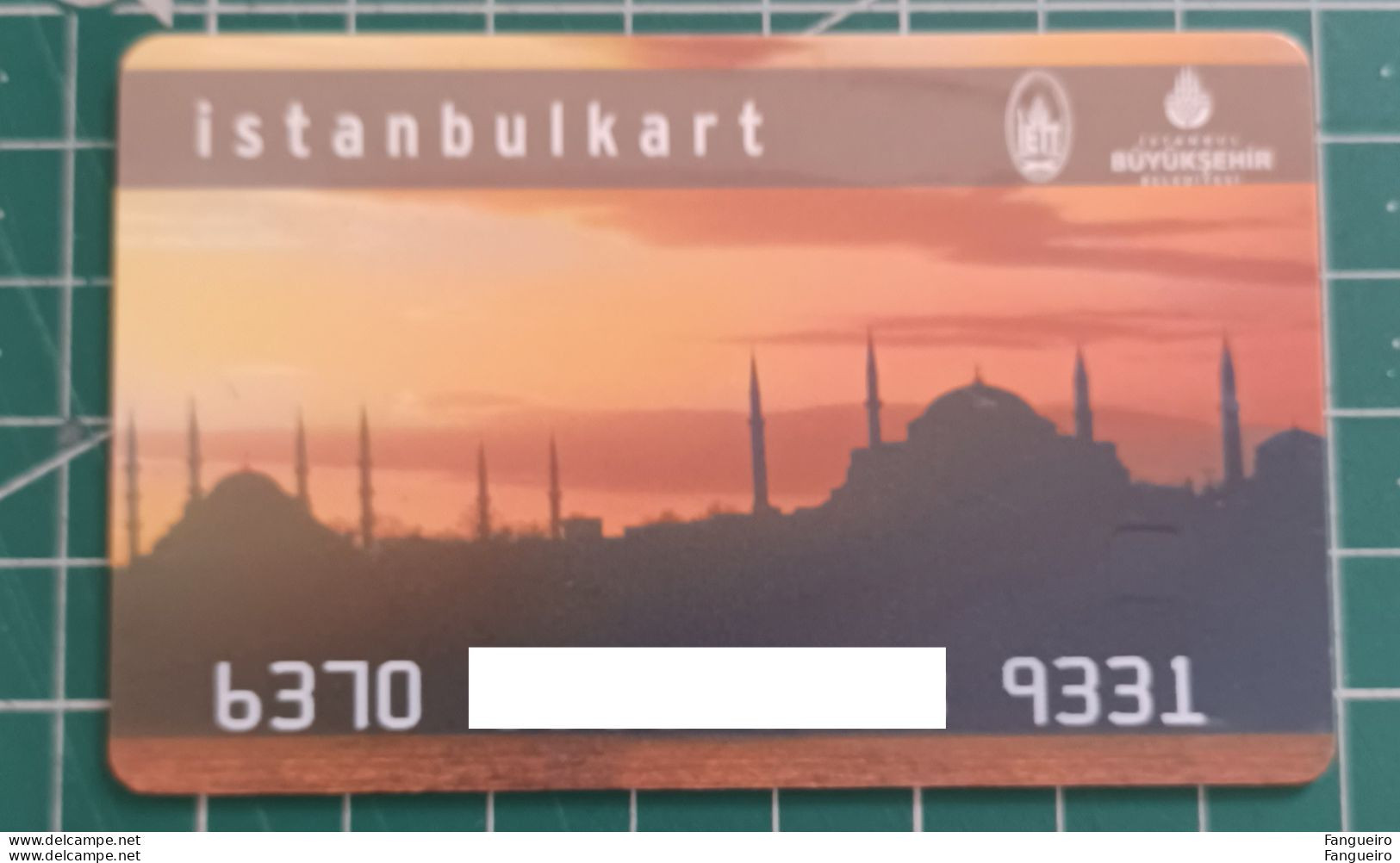 TURKIEYE TRANSPORT PASS - Other & Unclassified