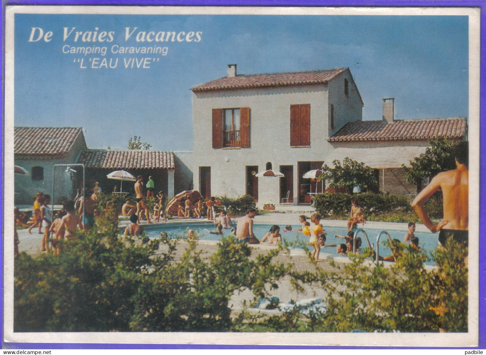 Carte Postale 04. Forcalquier Dauphin  Camping Caravaning L'Eau Vive   Très Beau Plan - Forcalquier