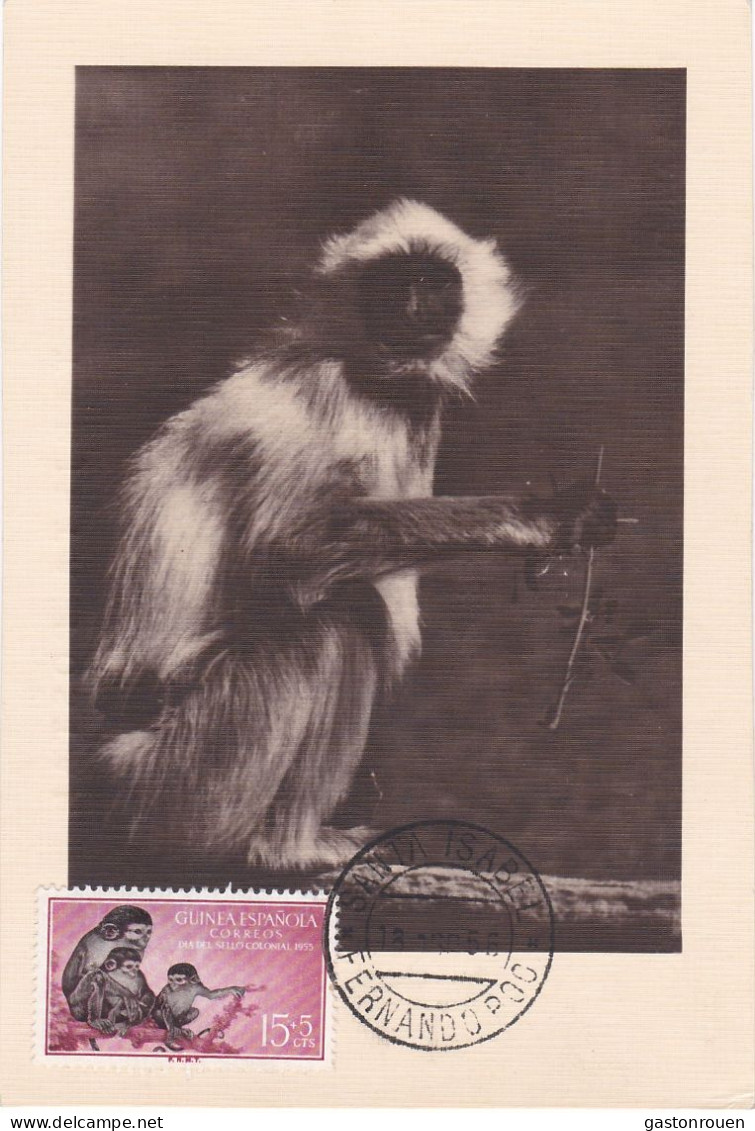 Carte Maximum Guinée Espagnole Guinea Espanola Singe Monkey 1956 - Guinea Espagnole