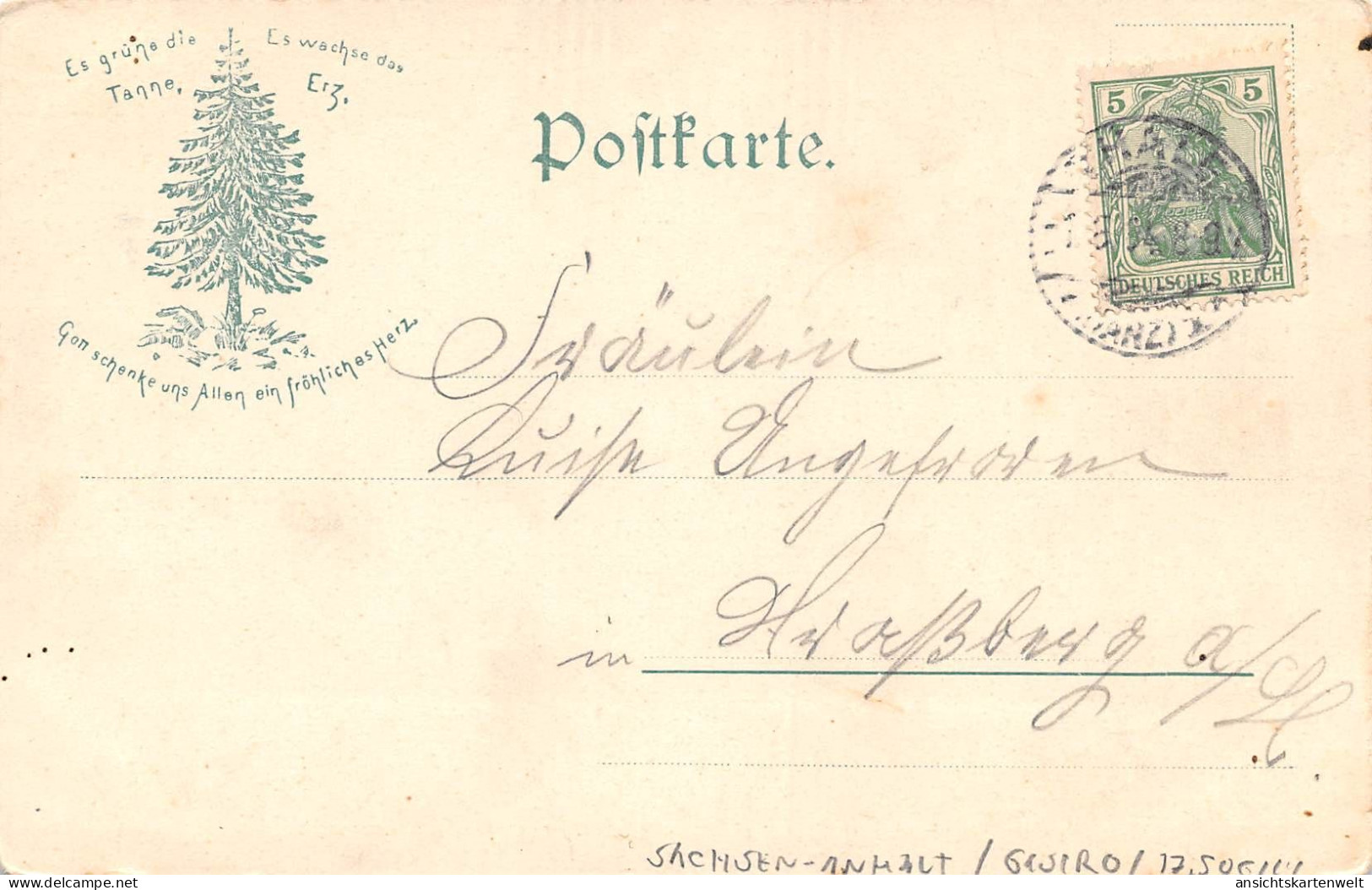 Hotel Waldkater Und Bischofsfelsen Im Bodethal Gl1904 #171.814 - Other & Unclassified