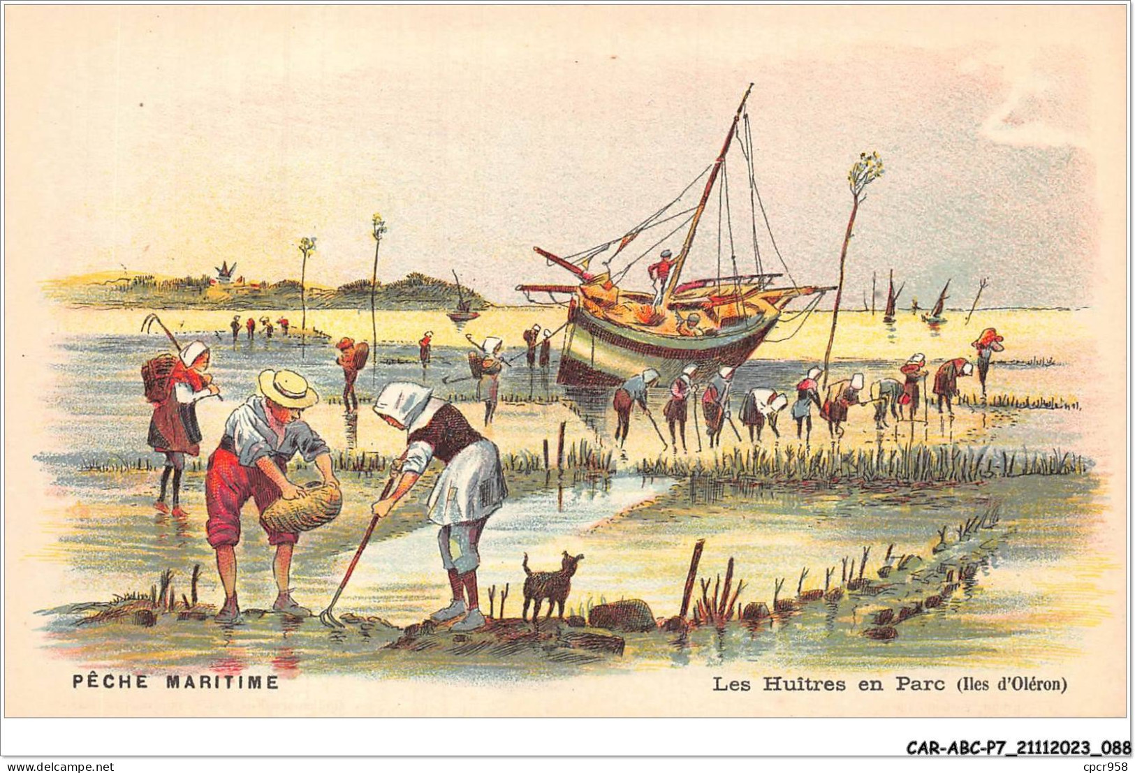 CAR-ABCP7-0618 - PECHE MARITIME - LES HUITRES EN PARC - ILES D'OLERON  - Fishing