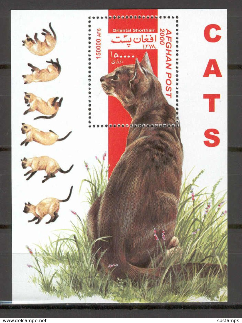 Afghanistan 2000 Cats MS MNH - Domestic Cats