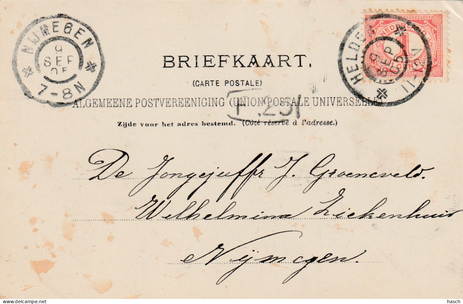 4934 19 Helder, Raadhuis. 1905.  - Den Helder