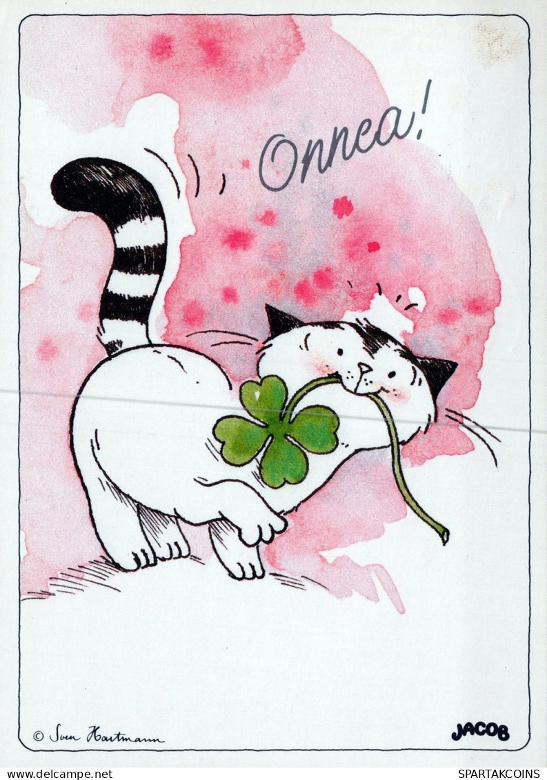 GATTO KITTY Animale Vintage Cartolina CPSM #PAM213.A - Katzen