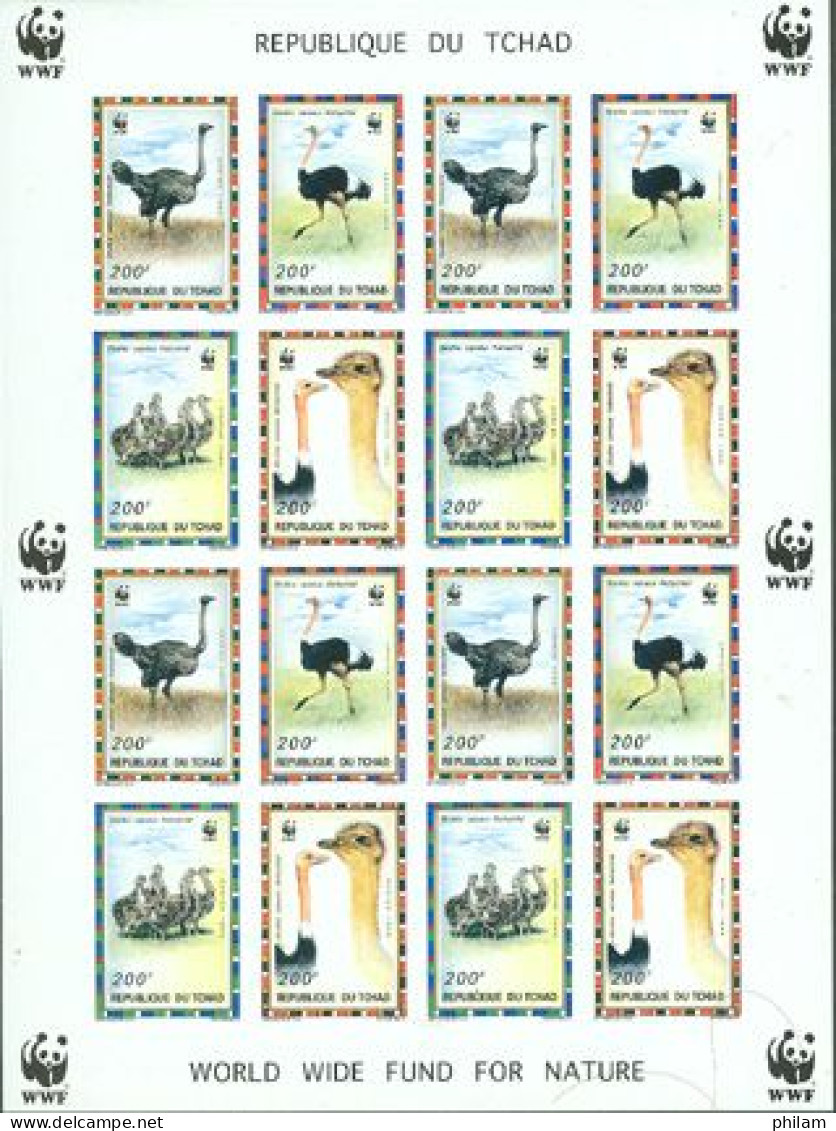 TCHAD 1996 - W.W.F. - Autruche Strutio Camelus - Feuillet Non Dentelé - Struisvogels