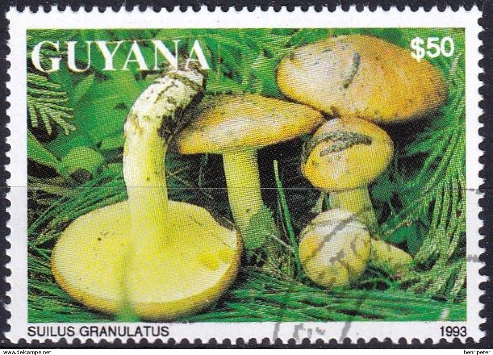 Timbre-poste Dentelé Oblitéré - Champignons Bolet Granulé Ou Pissacan Suilus Granulatus - N° 4138 (Michel) - Guyana 1993 - Guyane (1966-...)