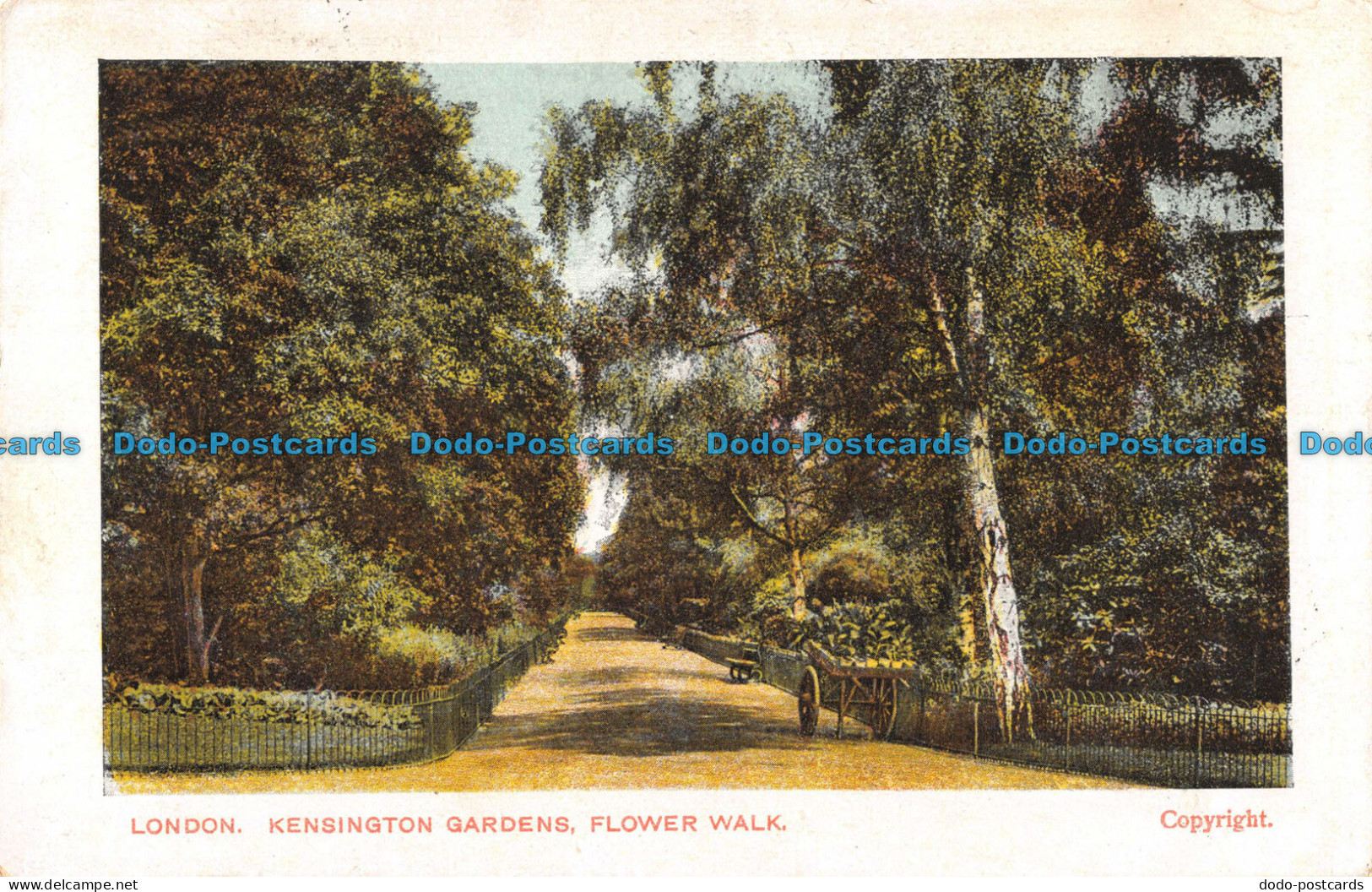 R095956 London. Kensington Gardens. Flower Walk. 1905 - Andere & Zonder Classificatie