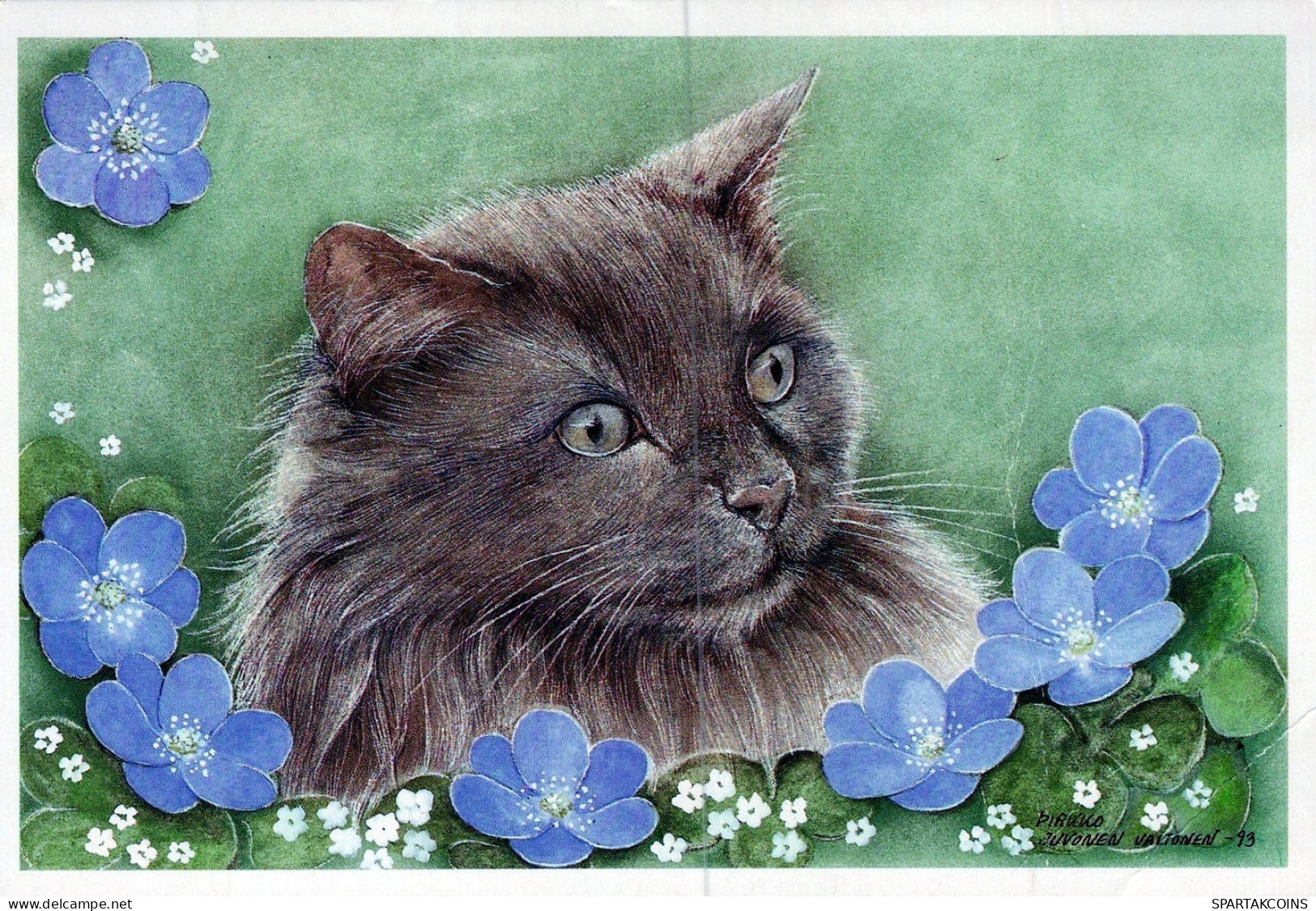 KATZE MIEZEKATZE Tier Vintage Ansichtskarte Postkarte CPSM #PAM357.DE - Katzen