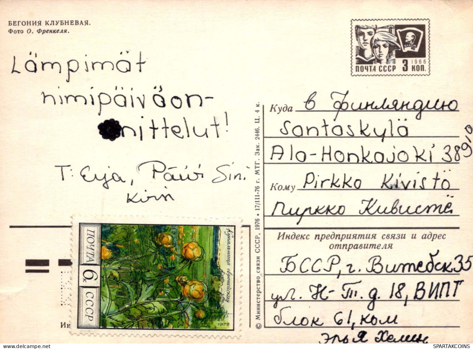 FLORES Vintage Tarjeta Postal CPSM #PAS572.ES - Fleurs