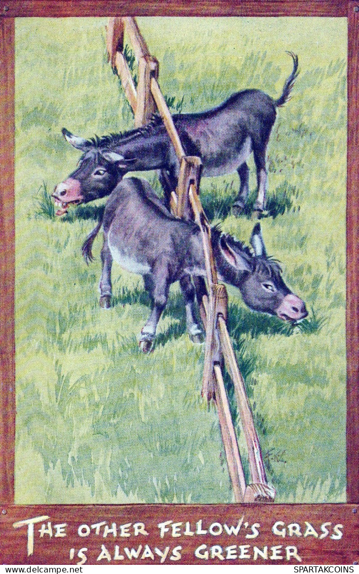 ASINO Animale Vintage CPA Cartolina #PAA154.IT - Anes