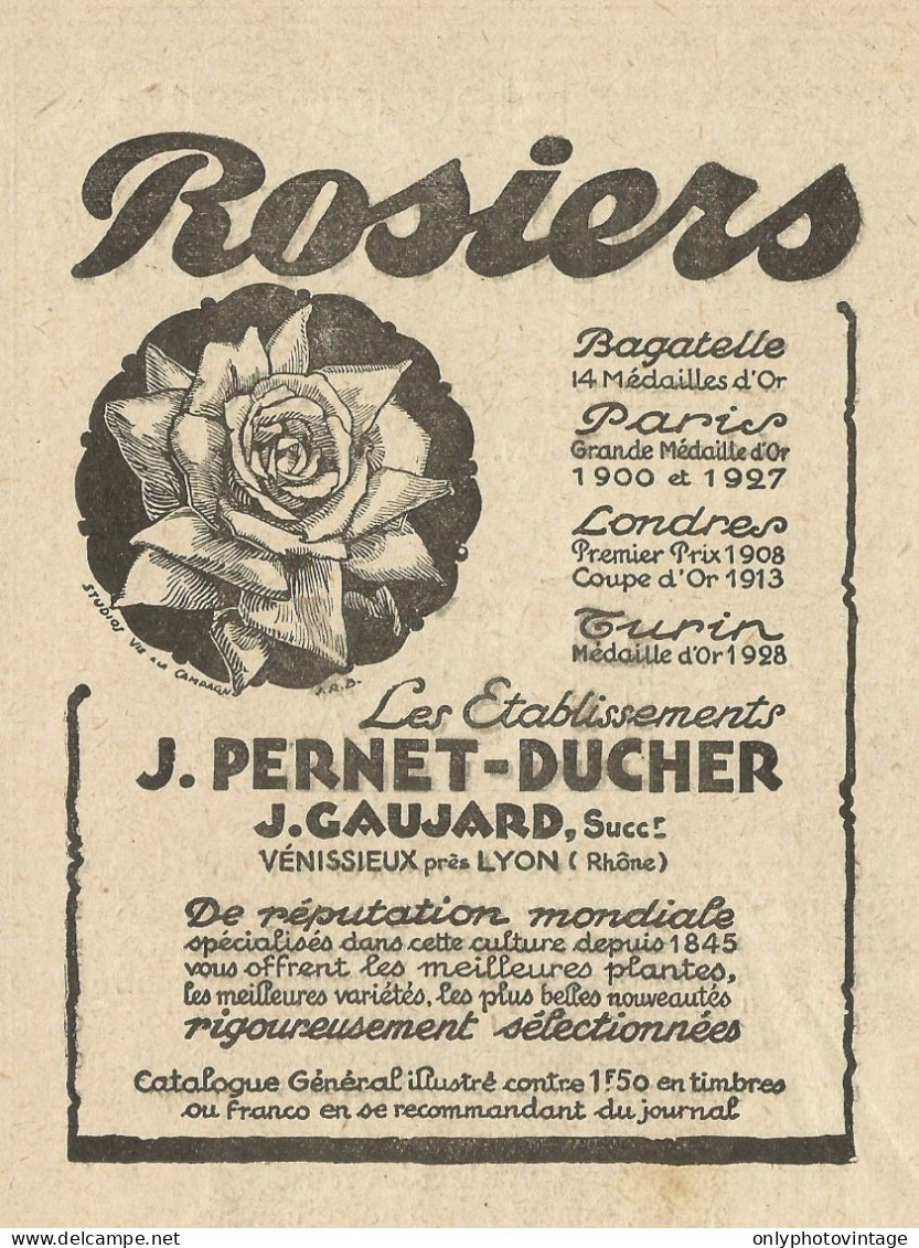 Rosiers J. Pernet-Ducher - Vènissieux - Pubblicità 1929 - Advertising - Publicités