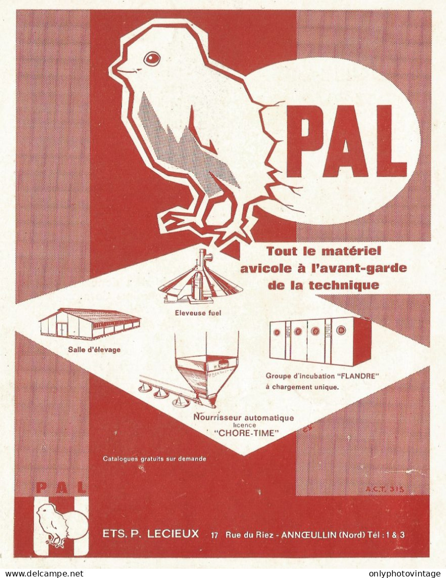 Materiale Avicolo PAL - Annceullin - Pubblicità 1962 - Advertising - Publicités