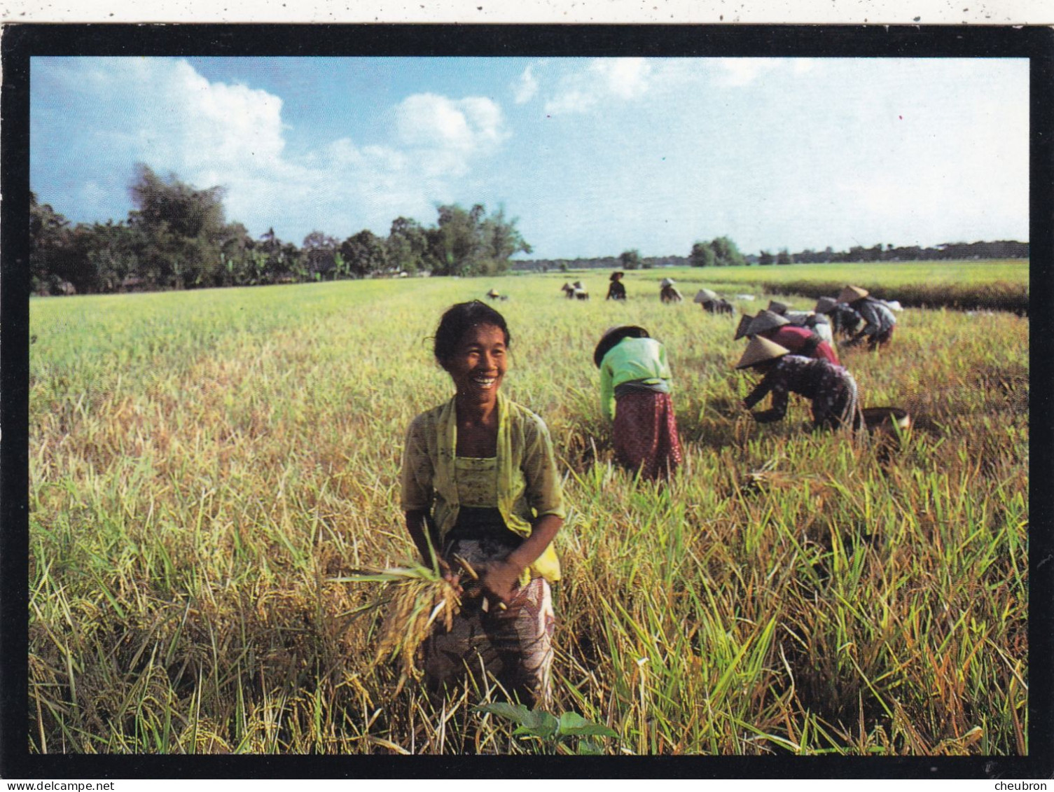 INDONESIE. JAKARTA (ENVOYE DE). " HARVESTING THE RICE CROP IN DELENGGN ".ANNEE 1988+ TEXTE + TIMBRES - Indonésie