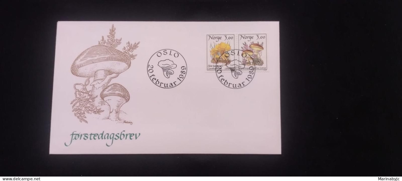 C) 1989. NORWAY. FDC, FUNGI. DOUBLE STAMP. XF - Sonstige & Ohne Zuordnung