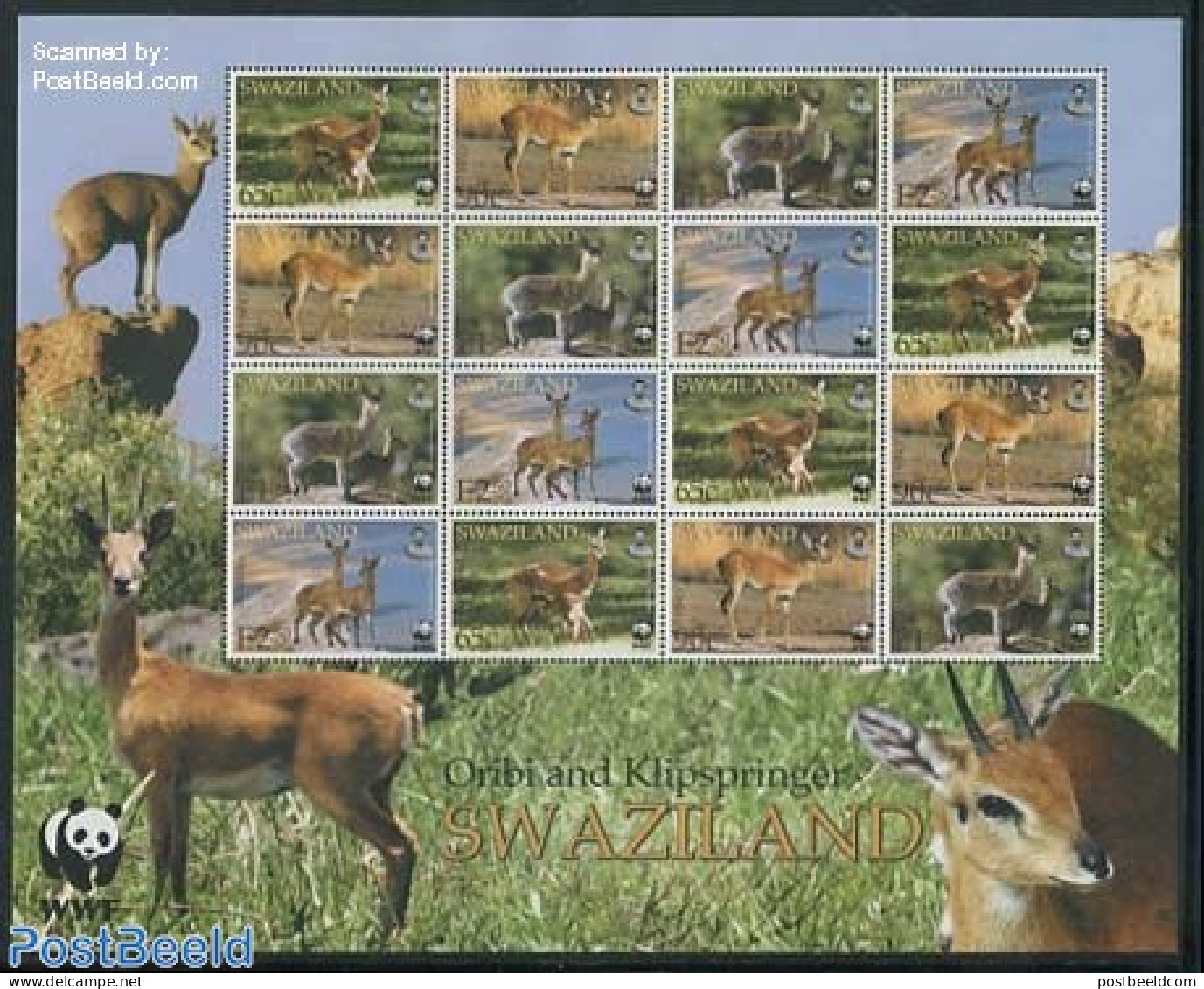 Eswatini/Swaziland 2001 WWF, Oribi M/s, Mint NH, Nature - Animals (others & Mixed) - World Wildlife Fund (WWF) - Swaziland (1968-...)