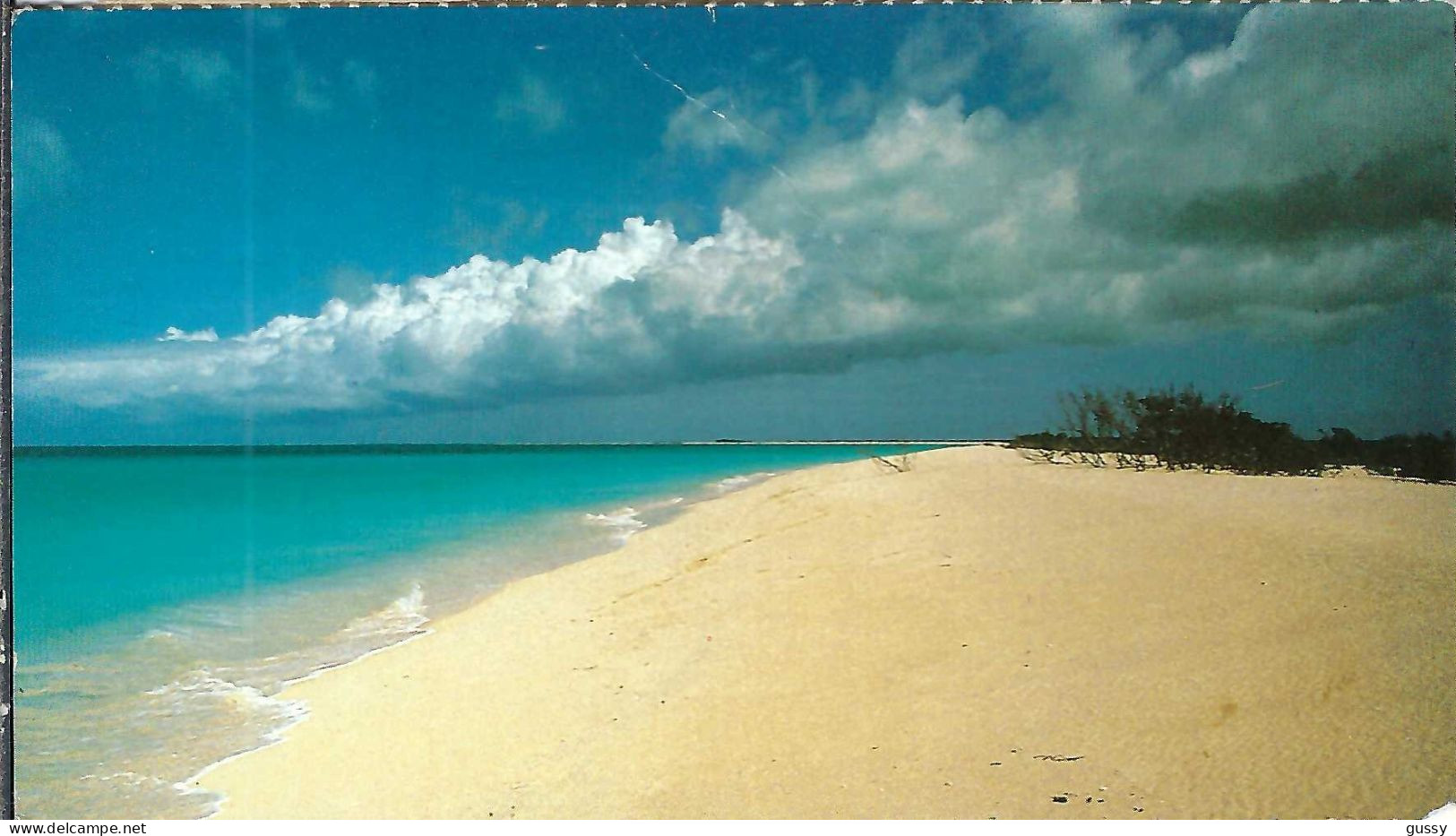 ANTIGUA Et BARBUDA Ca.1988: CP Ill. De Doukyard Pour Genève (Suisse) - Antigua And Barbuda (1981-...)