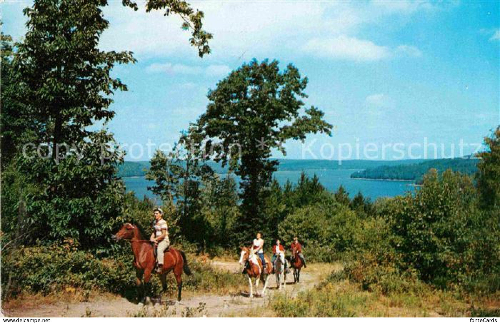 72837334 Pennsylvania US-State Horseback Riding At Lake Wallenpaupack Pennsylvan - Other & Unclassified