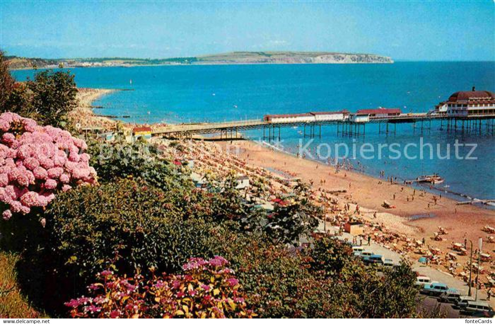 72810838 Shanklin Hydrangeas Esplanade And Pier Isle Of Wight - Andere & Zonder Classificatie