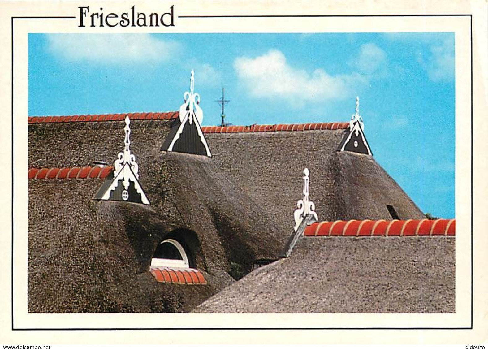 Pays-Bas - Nederland - Friesland - CPM - Voir Scans Recto-Verso - Sonstige & Ohne Zuordnung