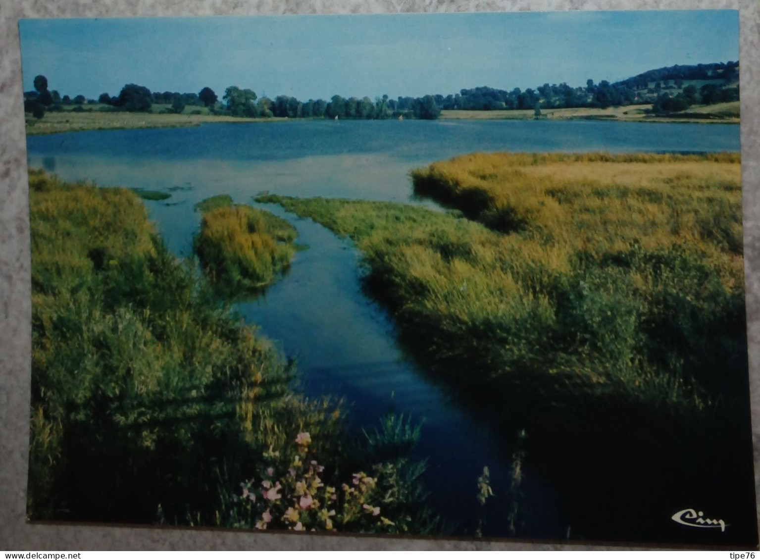 14 Calvados CPM Vire  Le Plan D'eau De La Dathée - Vire