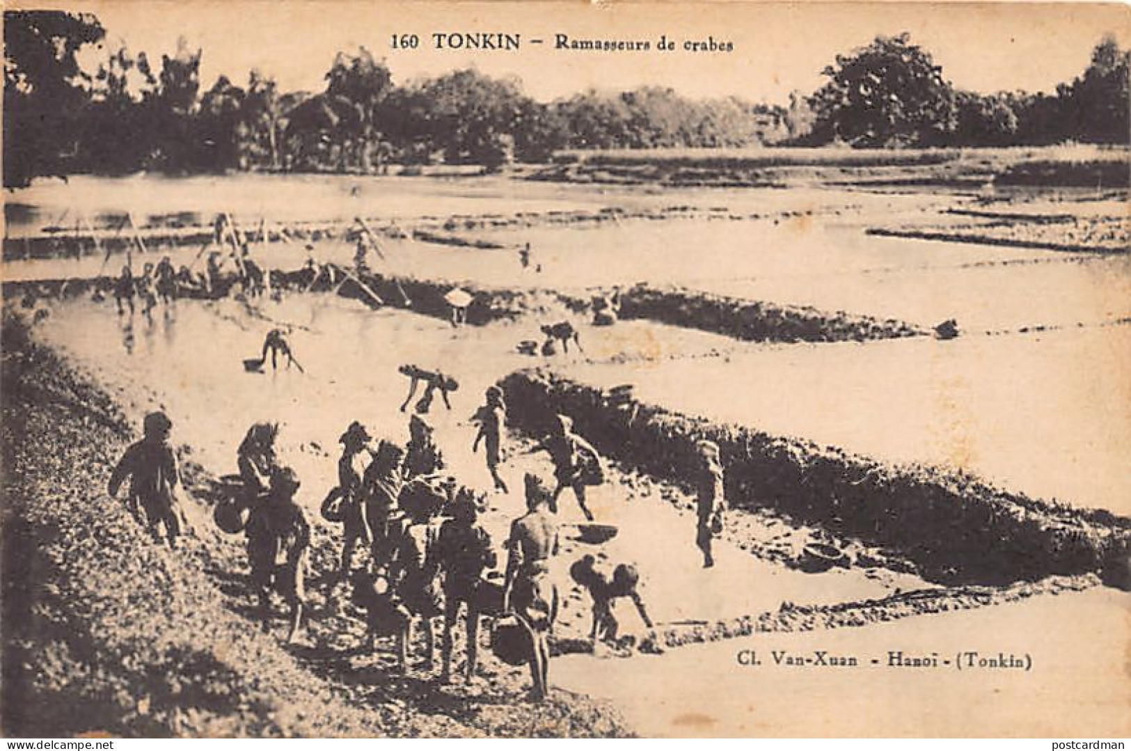 Viet-Nam - TONKIN - Ramasseurs De Crabes - Ed. Van-Xuan 160 - Vietnam