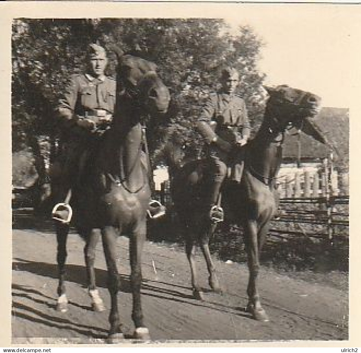 Foto 2 Deutsche Soldaten Zu Pferd - 2. WK - 5*5cm (69391) - Guerra, Militari