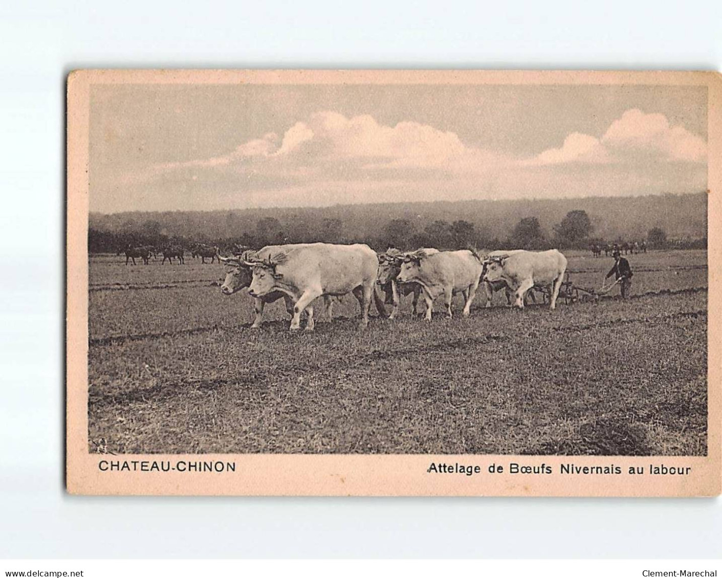 CHATEAU CHINON : Attelage De Boeufs Au Labour - état - Chateau Chinon