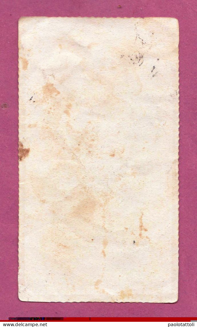 Santini, Holy Card- Ossequio A Maria Santissima- Variante Con Fiori-  Ed Enrico Bertarelli N°  2-398 . Dim. 100x 57mm. - Devotion Images