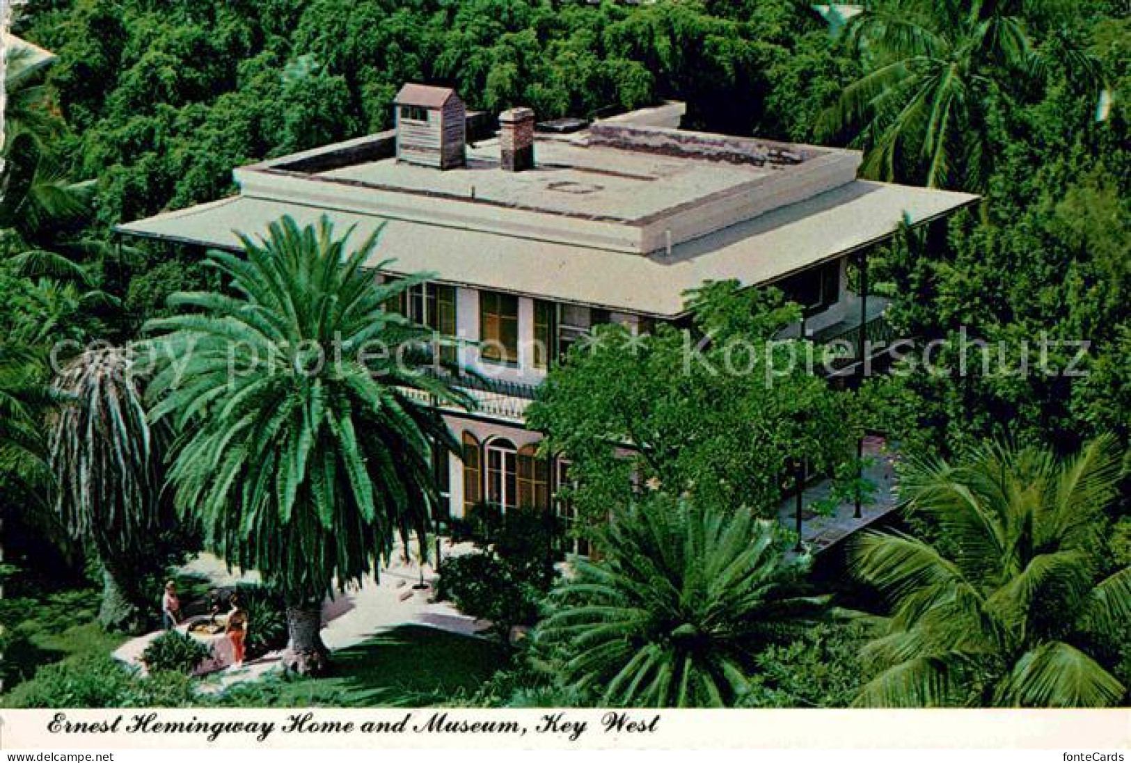 72672118 Key_West Ernst Hemingway Home And Museum - Altri & Non Classificati