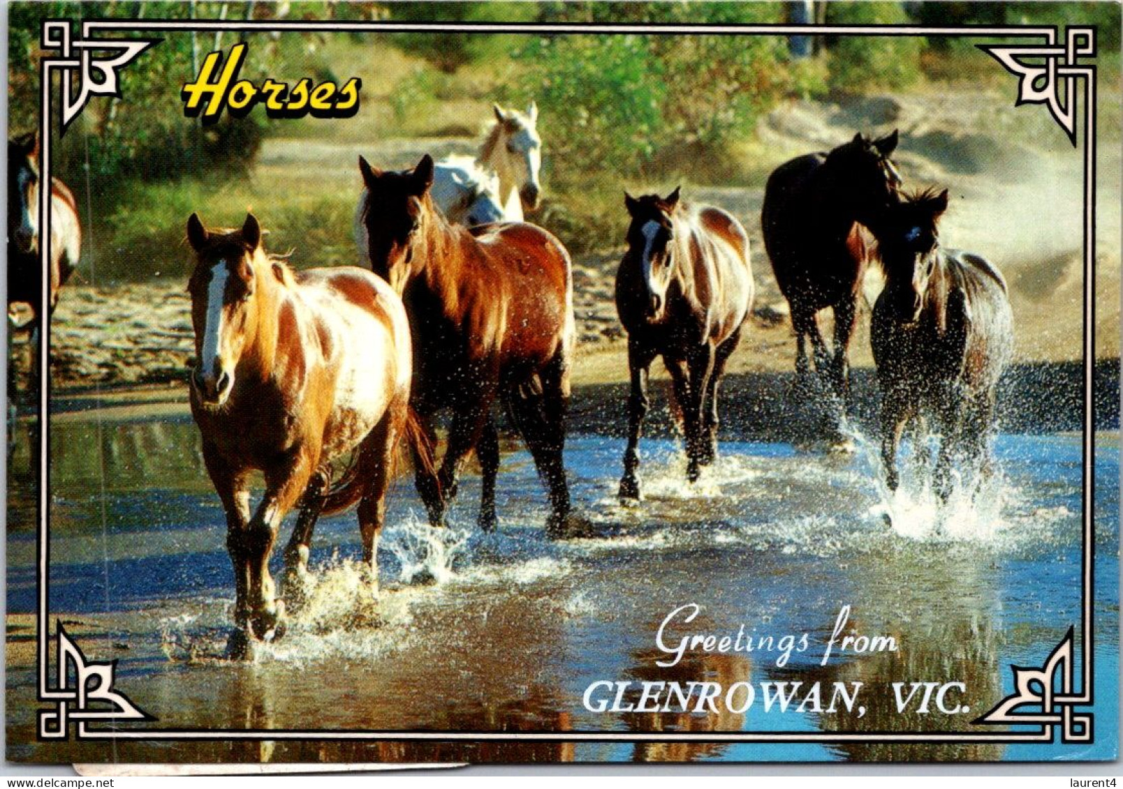 13-5-2024 (5 Z 1) Australia  (posted 1996 With Lion Stamp) Wild Horses / Aka Brambies  (VIC - Glenrowan) - Horses