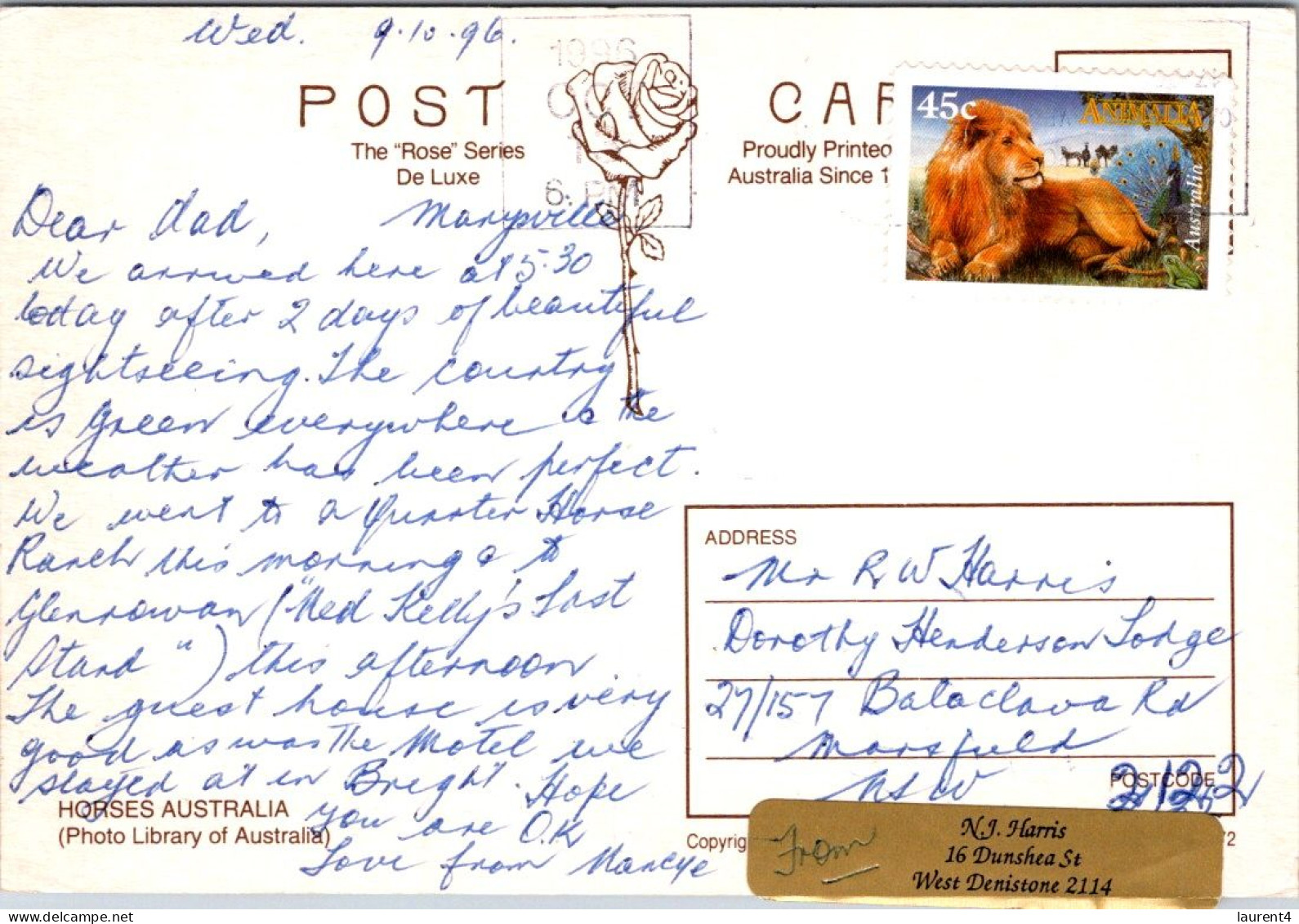 13-5-2024 (5 Z 1) Australia  (posted 1996 With Lion Stamp) Wild Horses / Aka Brambies  (VIC - Glenrowan) - Horses