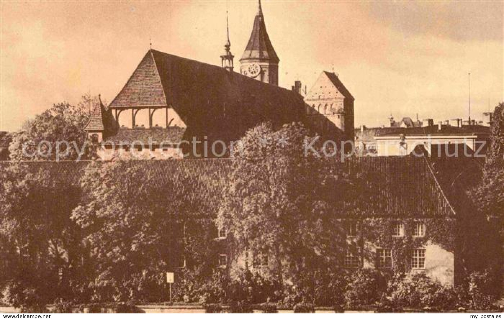 72872785 Koenigsberg_Ostpreussen Kathedrale Universitaet Albertina  - Russia