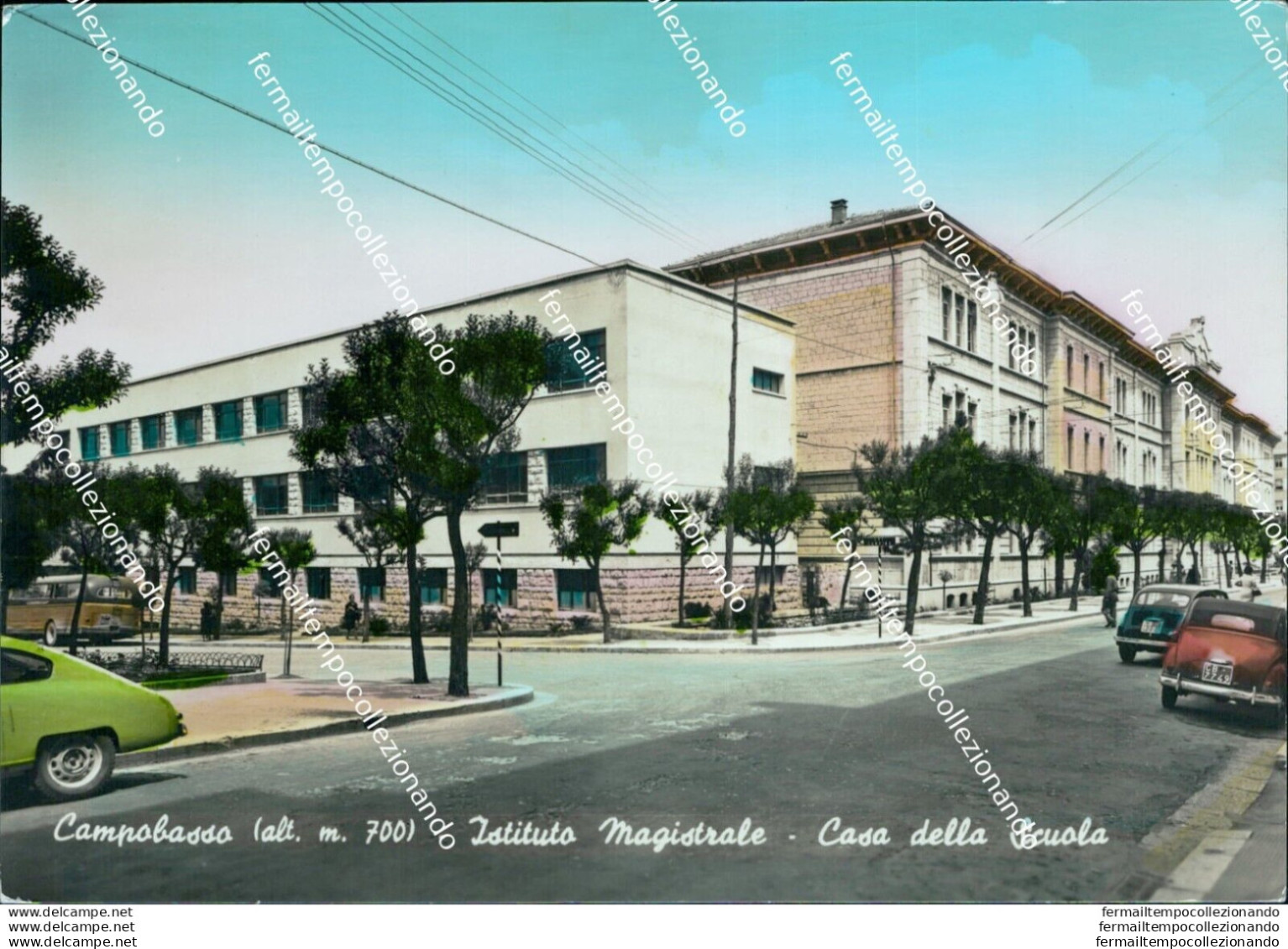 Br376 Cartolina Campobasso Citta' Istituto Magistrale Casa Della Scuola - Campobasso