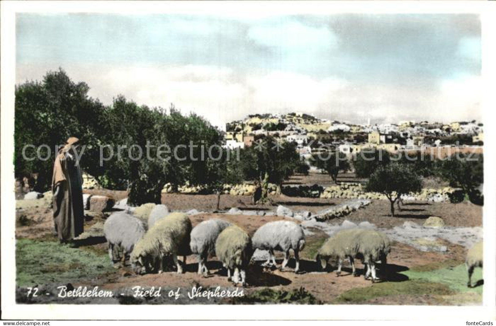 72600701 Bethlehem Yerushalayim Field Of Shepherds Bethlehem - Israel