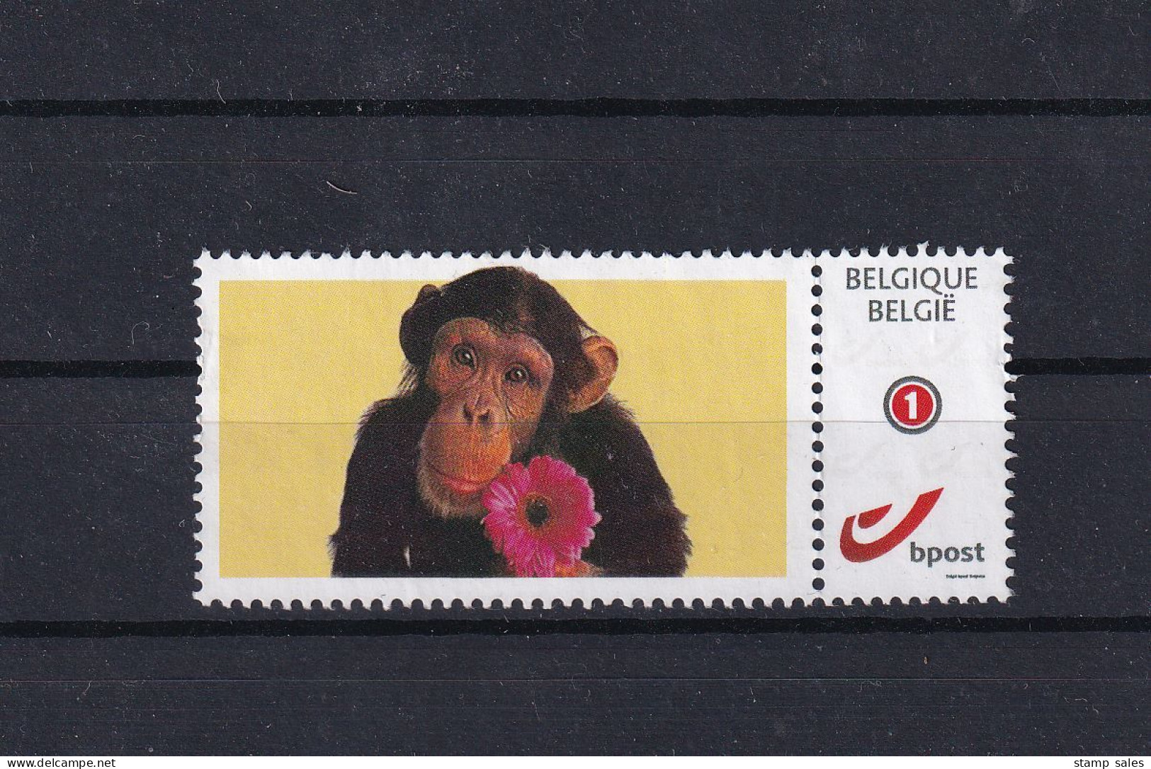 Belgium Duostamp Aap Met Bloem MNH ** SUPERB - Neufs