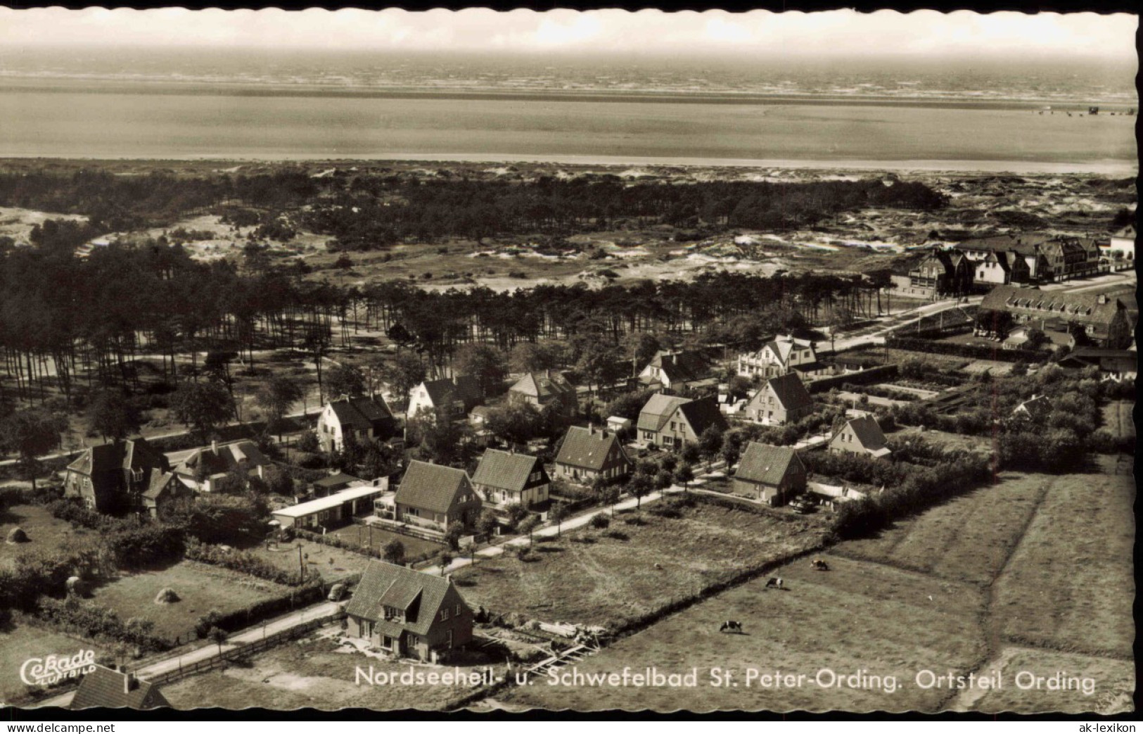 Ansichtskarte St. Peter-Ording Ortsteil Ording 1960 - Other & Unclassified