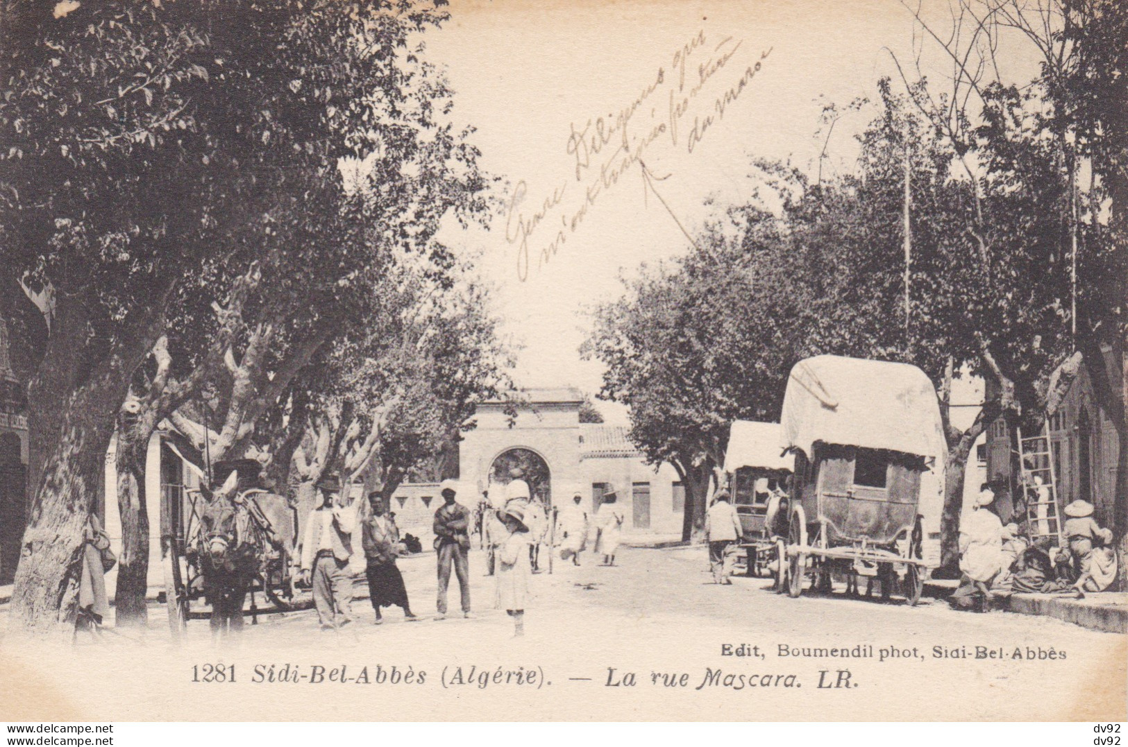 ALGERIE SIDI BEL ABBES LA RUE MASCARA - Sidi-bel-Abbes