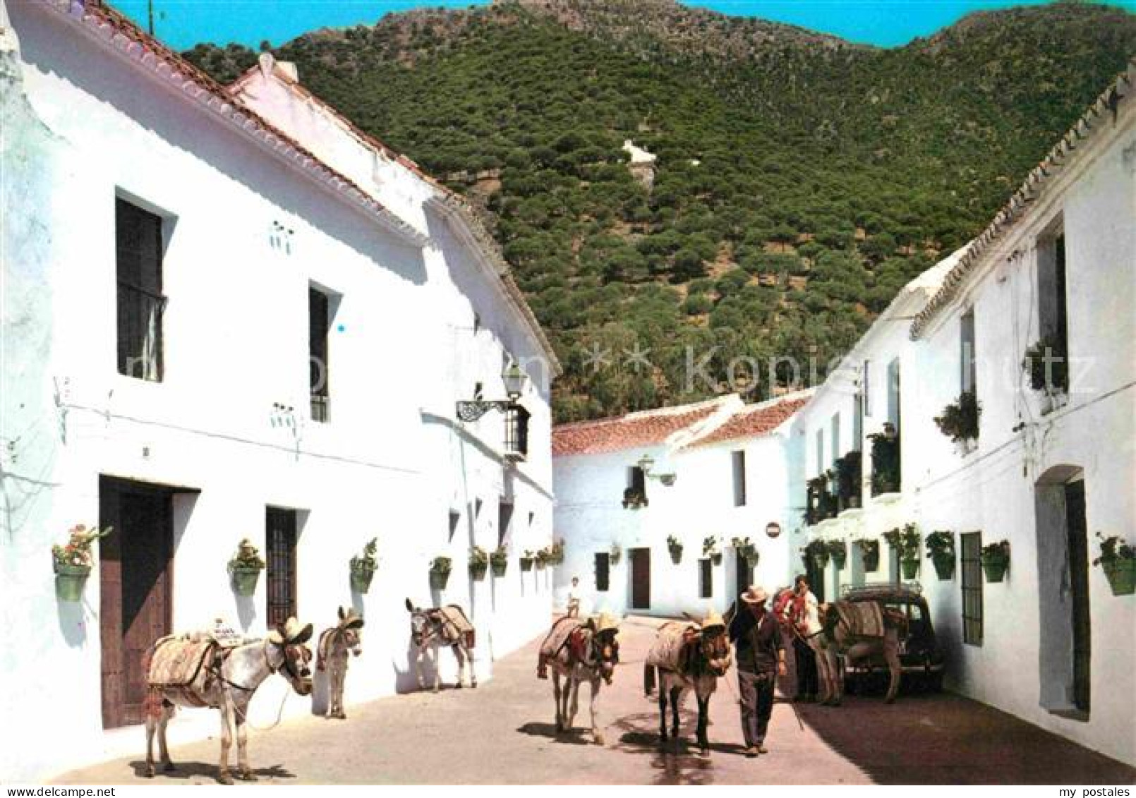 72856203 Mijas Esel Mijas - Sonstige & Ohne Zuordnung