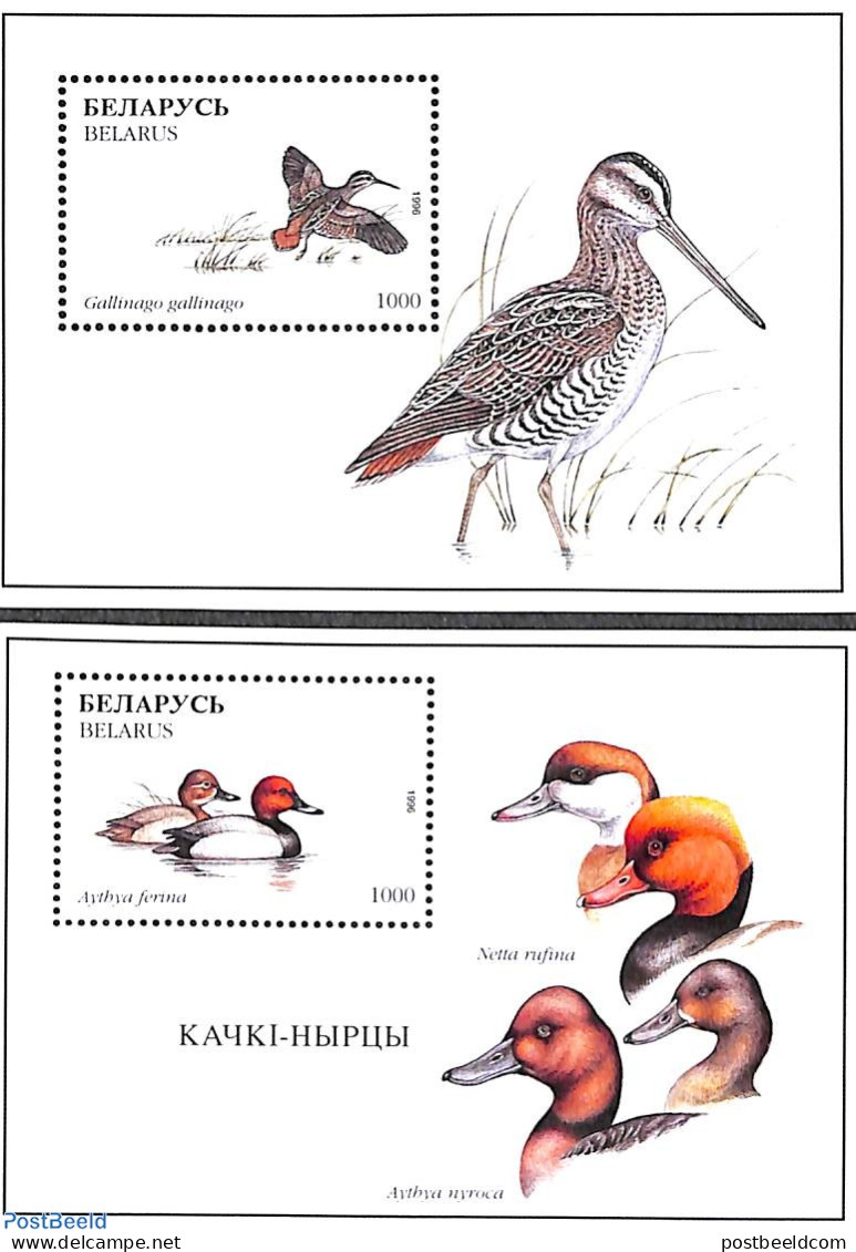 Belarus 1996 Birds 2 S/s, Mint NH, Nature - Birds - Ducks - Belarus