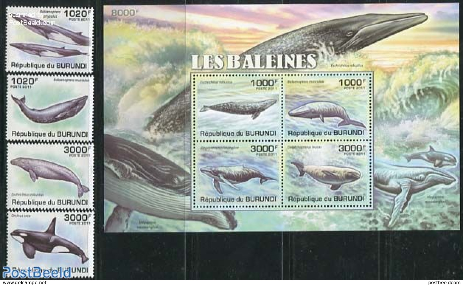 Burundi 2011 Whales 4v + S/s, Mint NH, Nature - Sea Mammals - Other & Unclassified