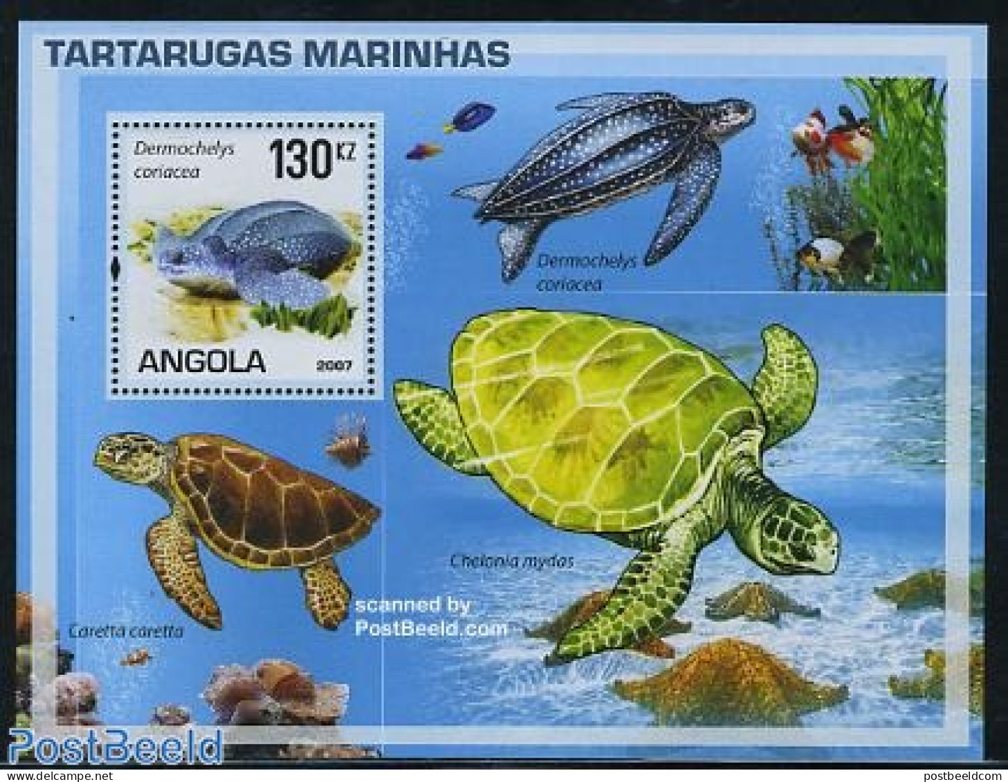 Angola 2007 Turtles S/s, Mint NH, Nature - Reptiles - Turtles - Angola