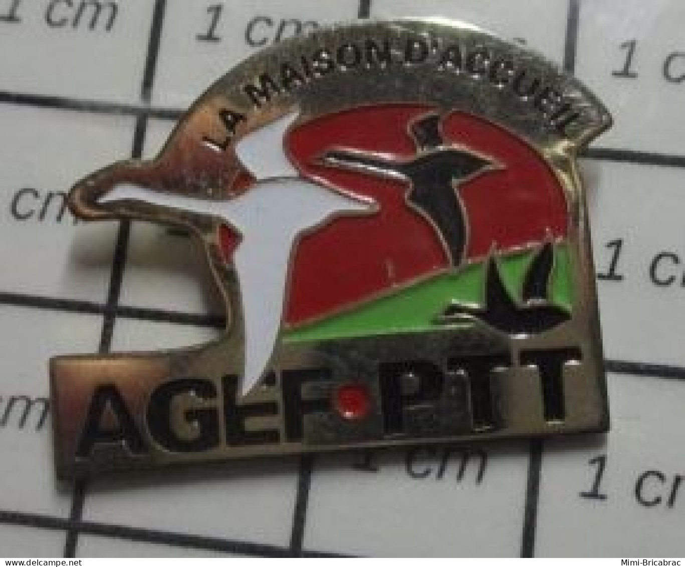 912c Pin's Pins / Beau Et Rare / ASSOCIATIONS / AGEF PTT LA MAISON D'ACCUEIL - Associations