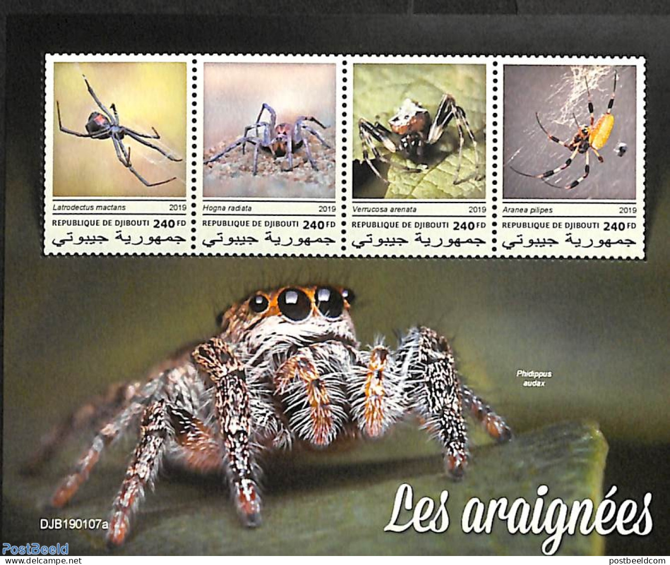 Djibouti 2019 Spiders 4v M/s, Mint NH, Nature - Animals (others & Mixed) - Dschibuti (1977-...)