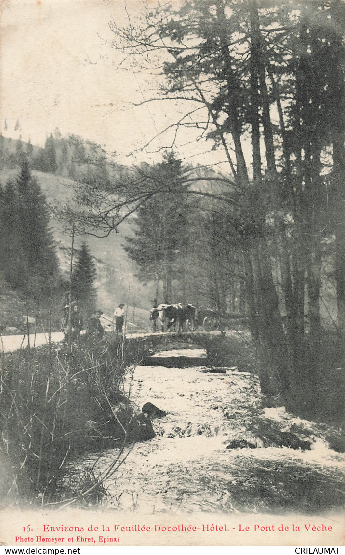 88-PONT DE LA VECHE-N°T5285-H/0239 - Sonstige & Ohne Zuordnung